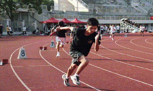 yl23455����(�й�)�ɷ����޹�˾